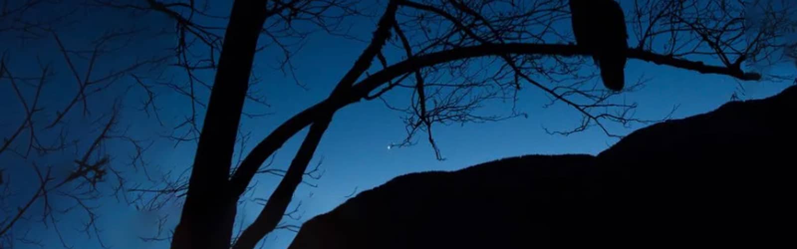 Full Moon Hikes at Owl’s Hill