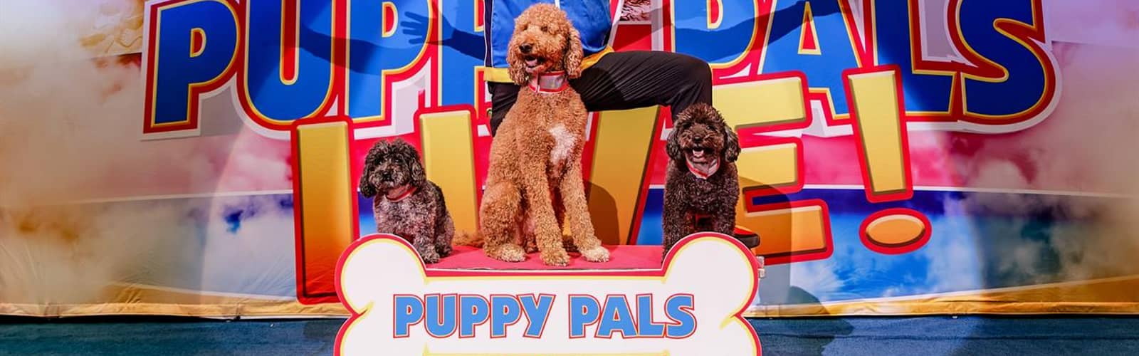Puppy Pals LIVE