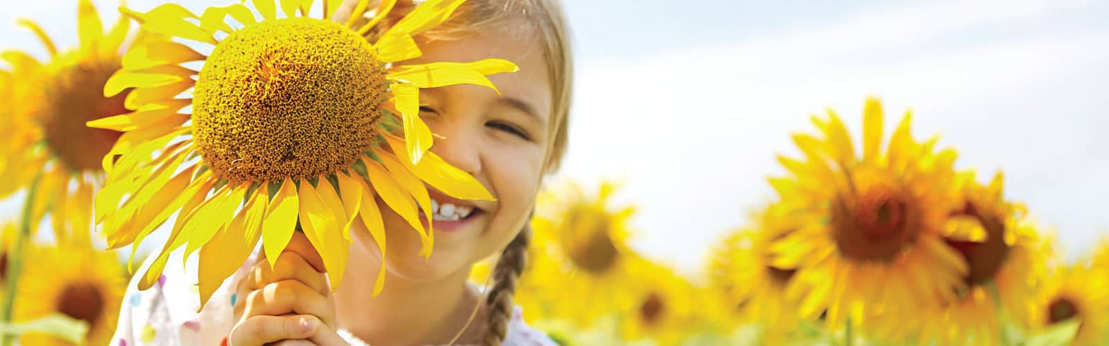 Tennessee Sunflower & Zinnia Festival