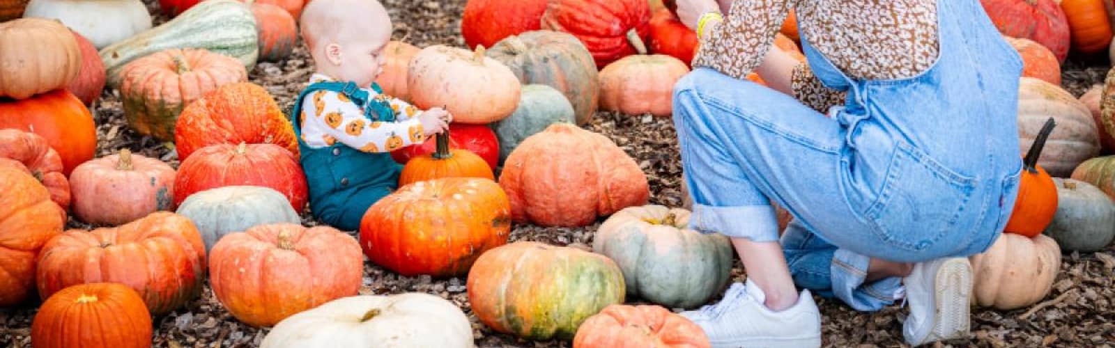 Fall Harvest Festival at Lucky Ladd Farms