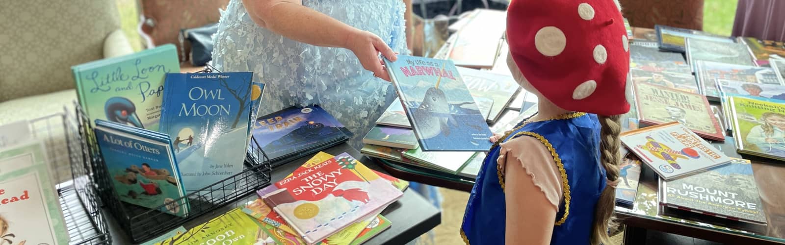 Friends Booktacular at Brentwood Library