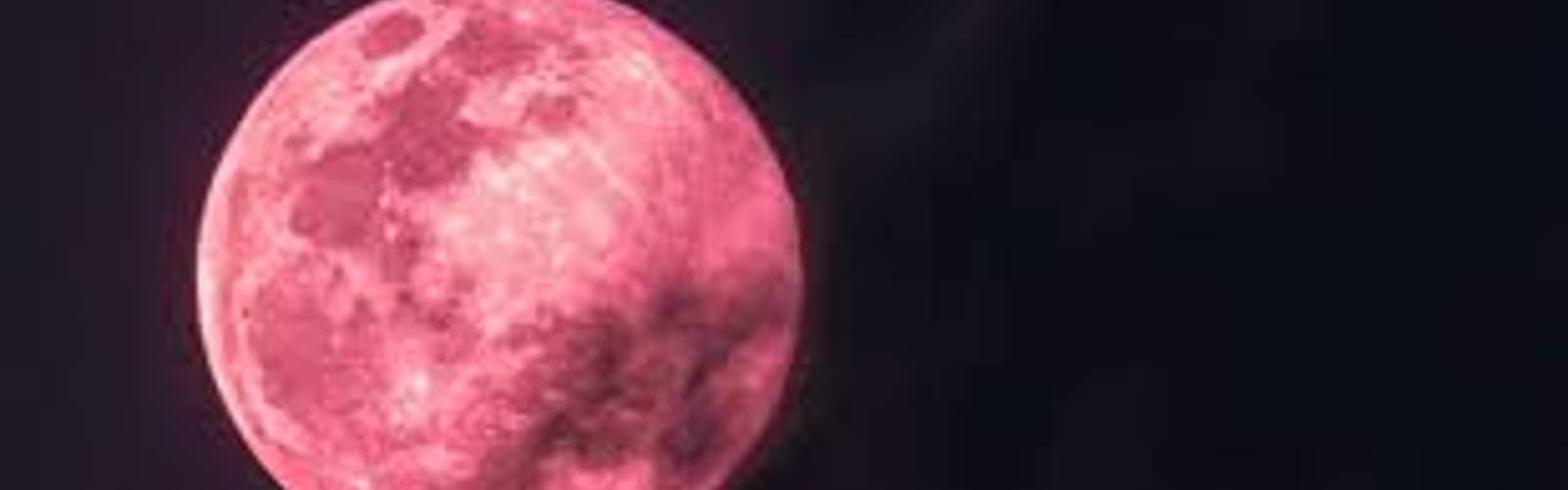 Strawberry Moon Hike at Bells Bend Nature Center