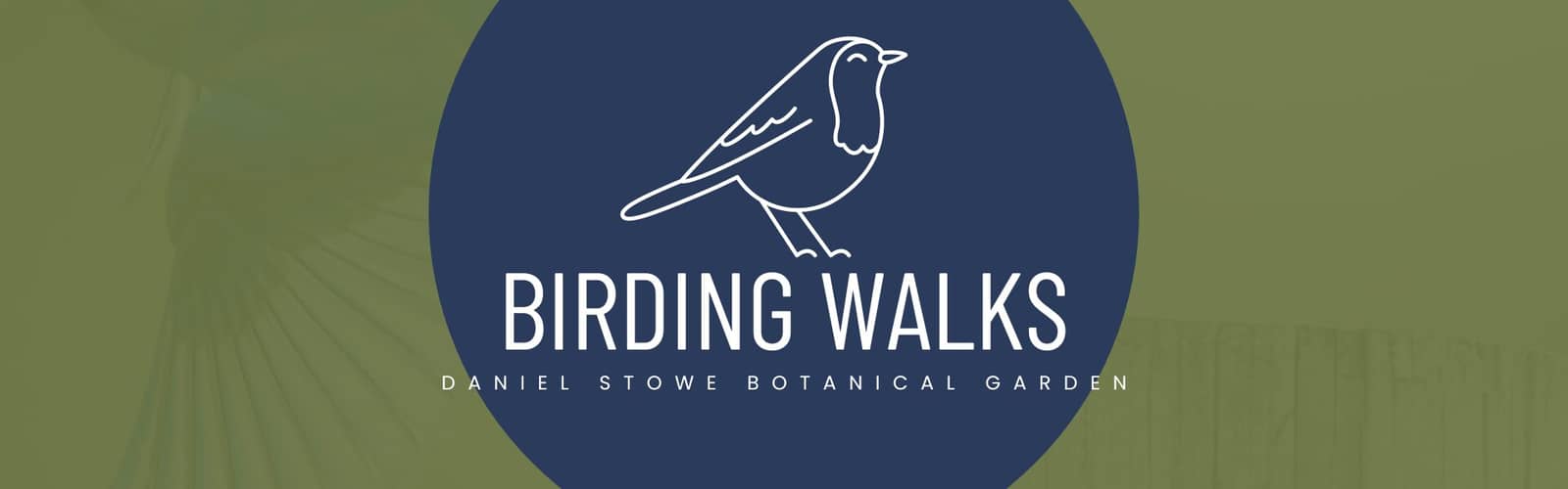 Birding Walks