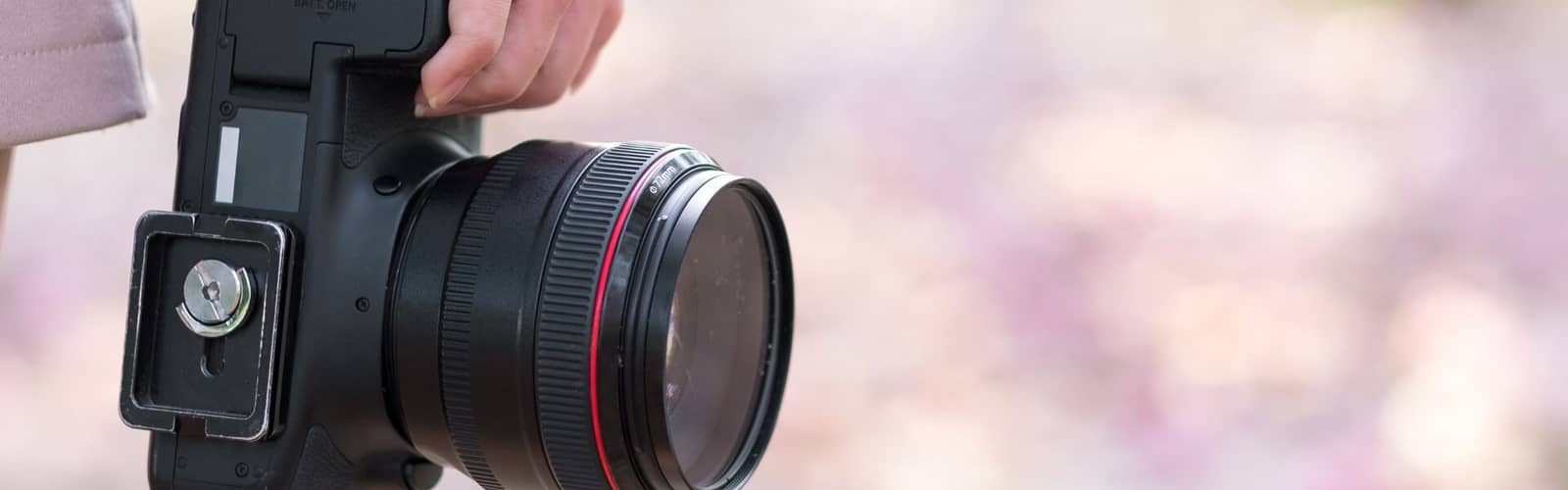 Garden Photography Walk