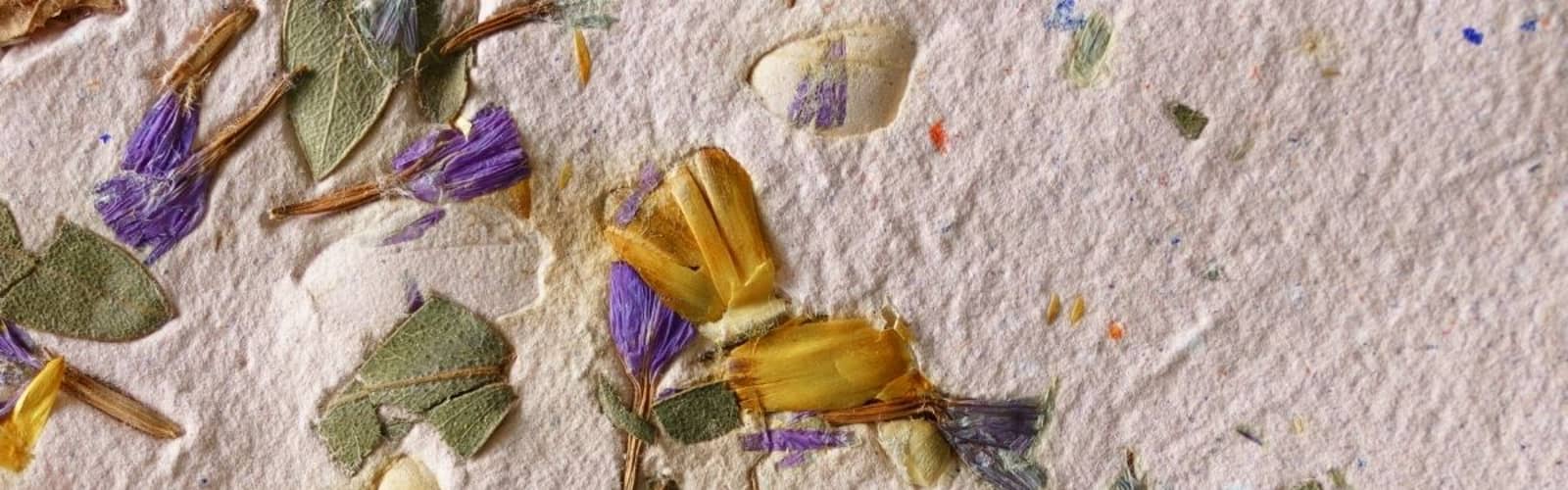 Coffee and Crafts: Seed Paper Making