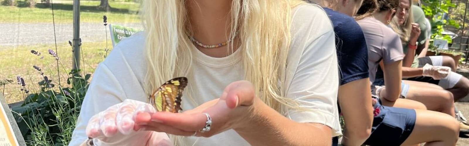 Butterfly Release Experience