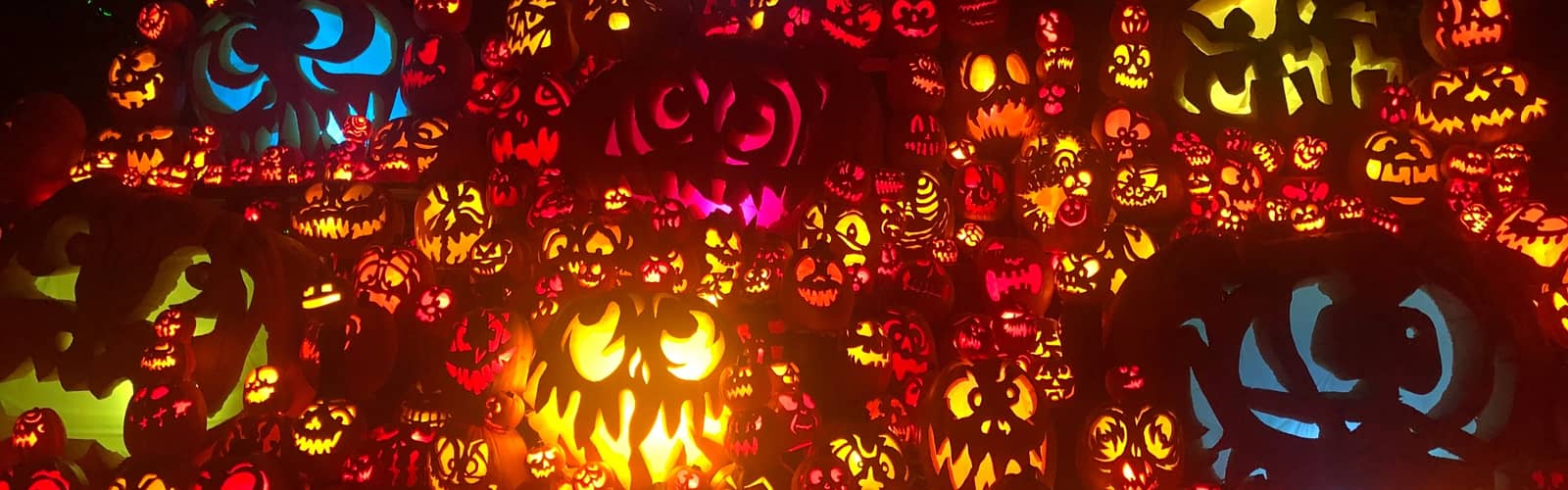 Pumpkins At Kentucky Kingdom