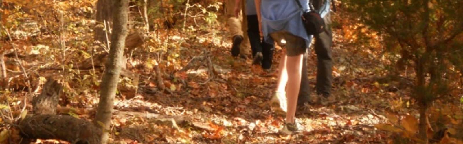Fall Color Hikes