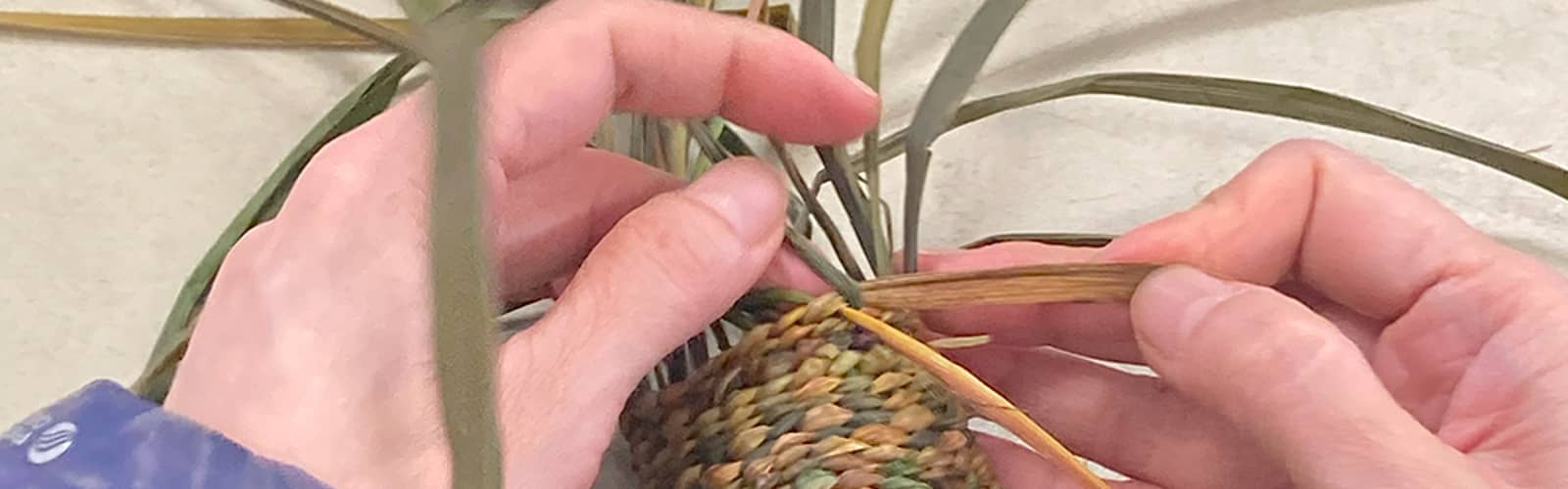 Kudzu and Wisteria Basket Weaving