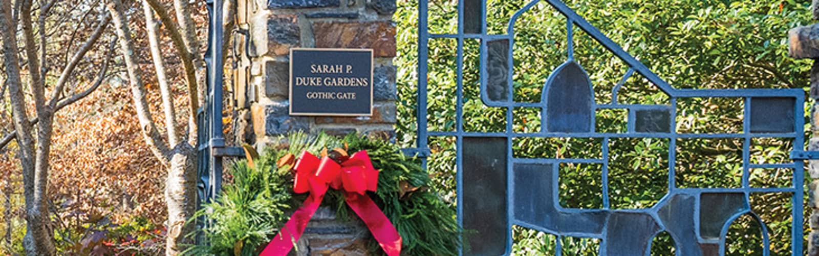 Holiday Greenery: Build Your Own Wreath