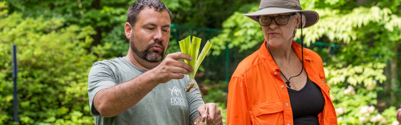 From One to Many: Plant Propagation Walk