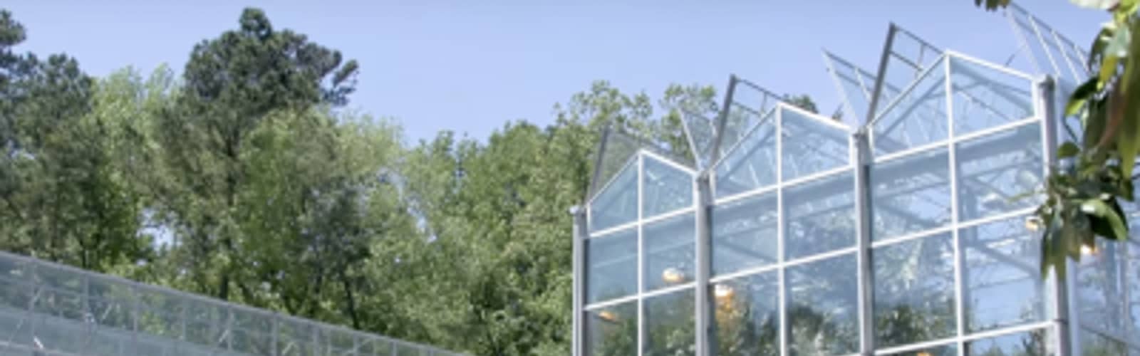 A World of Weird and Wonderful Plants: Duke Research Greenhouse Tour