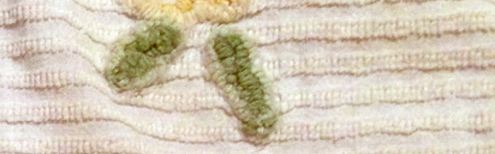 Botanical Embroidery as Visible Mending