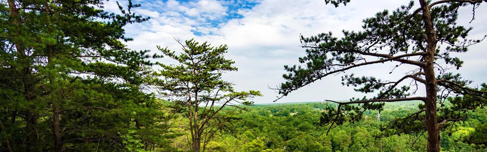 Botanizing at Occoneechee Mountain