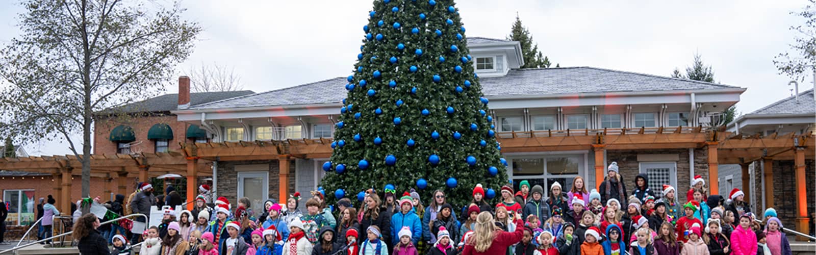 Tree Lighting