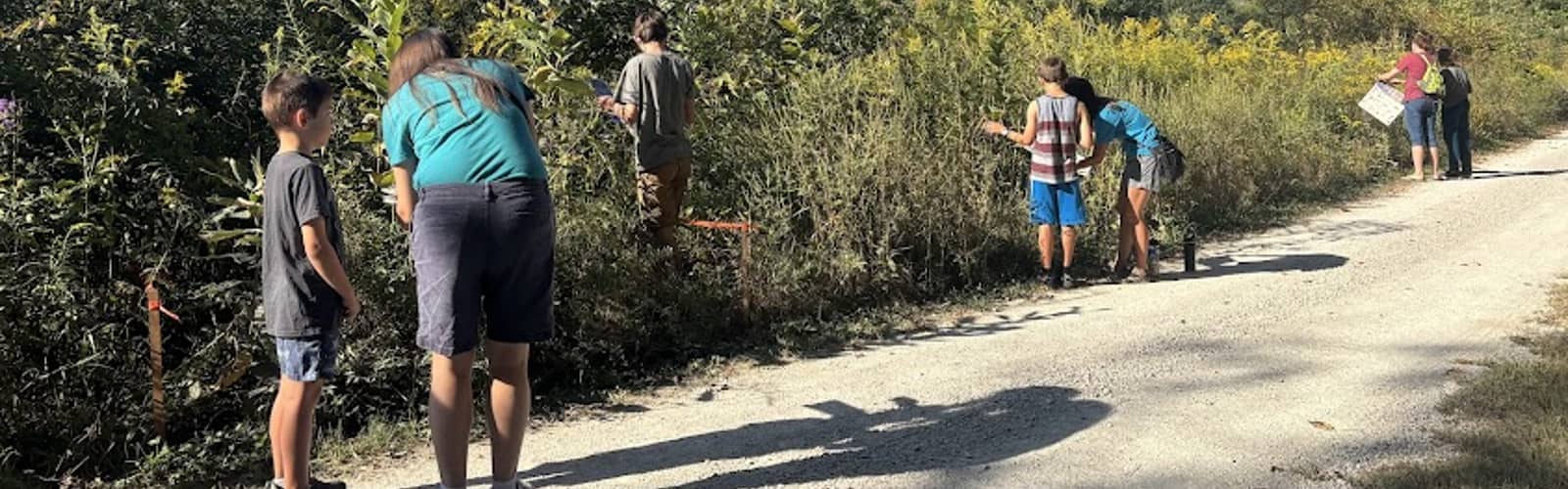 Plant ID Hike