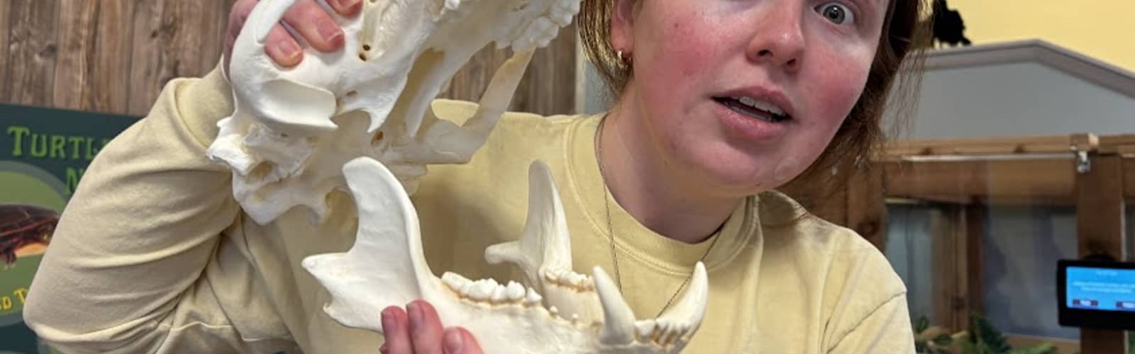 Name That Skull!