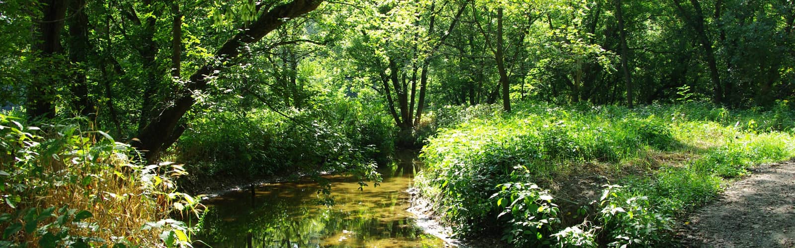 Hendricks County SWCD Watershed Walk