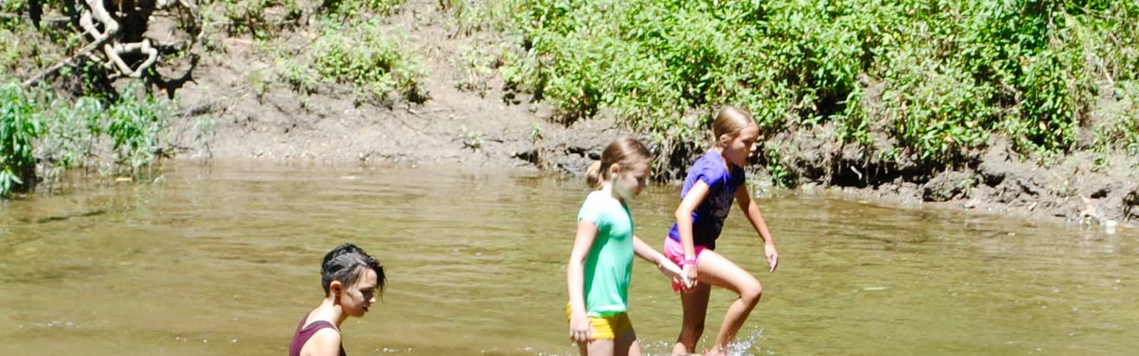 NATURE DISCOVERY: Seek at the Creek!