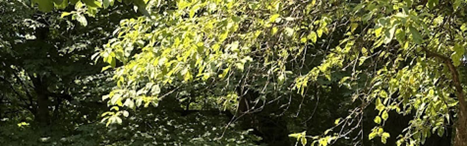 NATURE DAY CAMP (AGES 2-6): Get Messy!