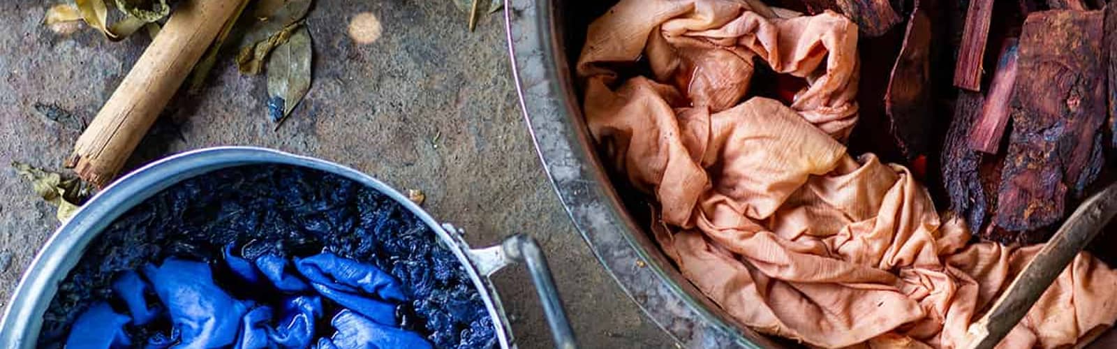 TADPOLE TIME: Natural Dyes!