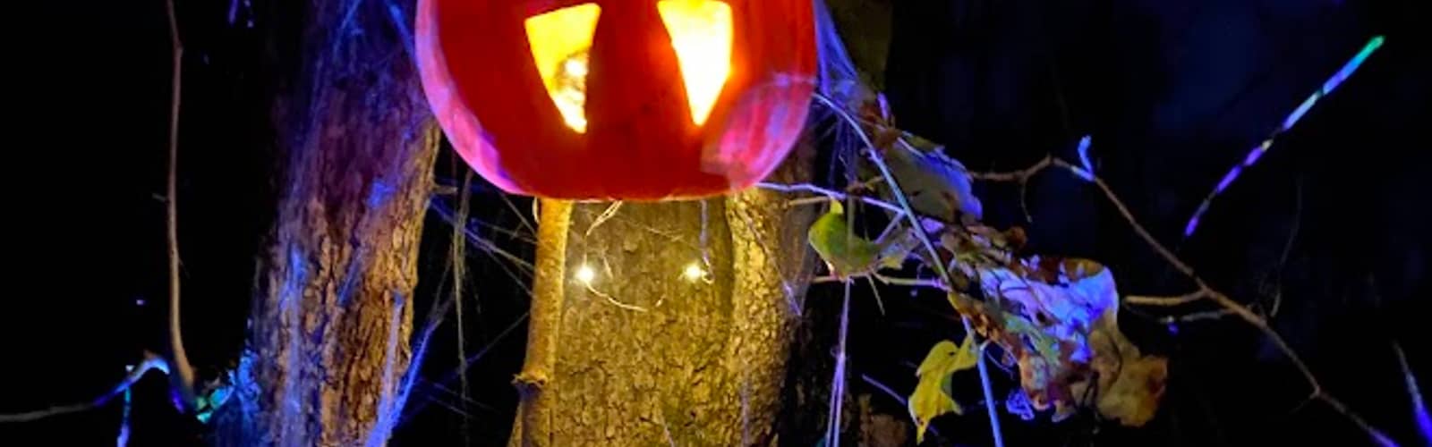 Halloween Night Hike