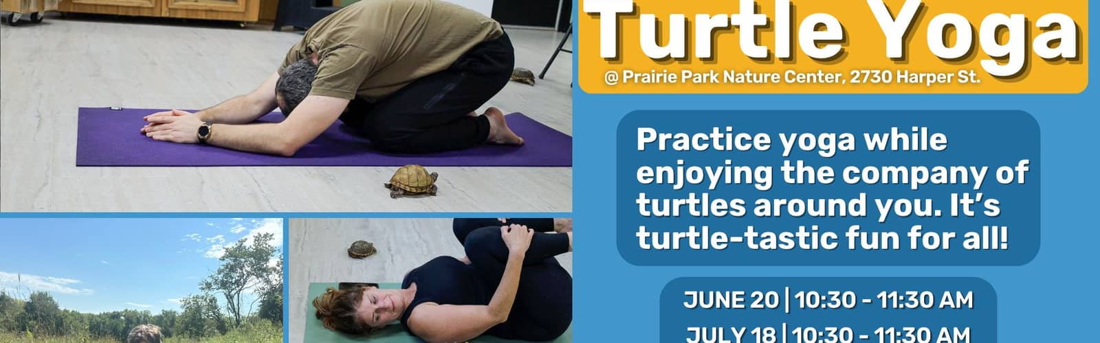 Turtle Yoga