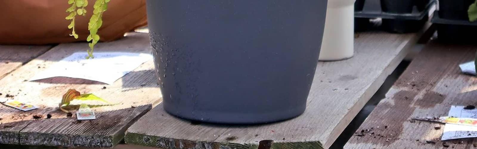 Fall Harvest Container Workshops