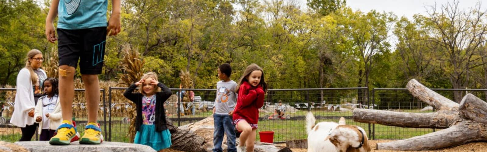 Pumpkin Hollow at Deanna Rose Farmstead Opens