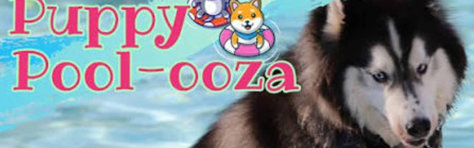 Puppy Poolooza