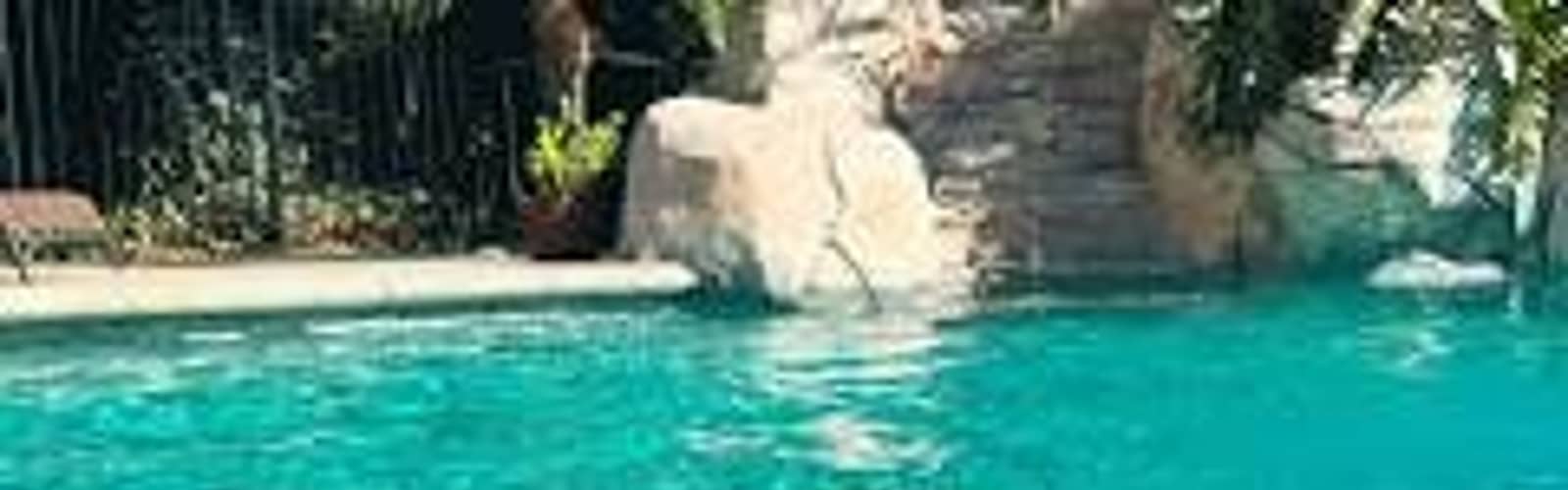 Dog Swim