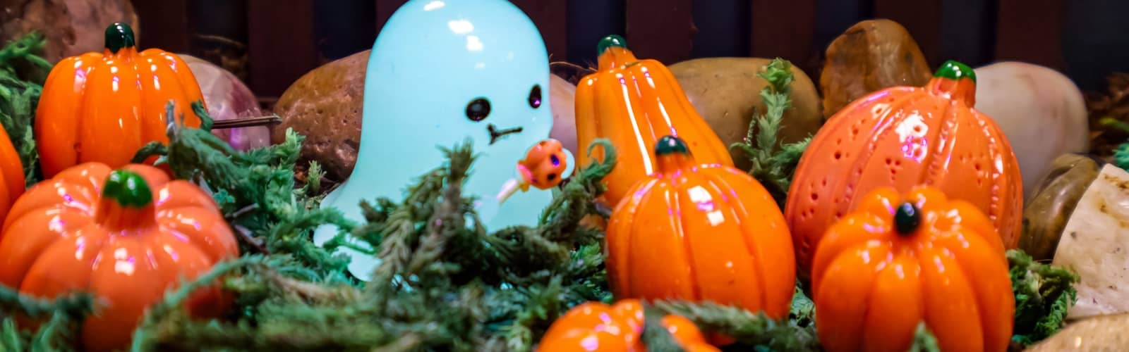 Spooky Garden Workshop