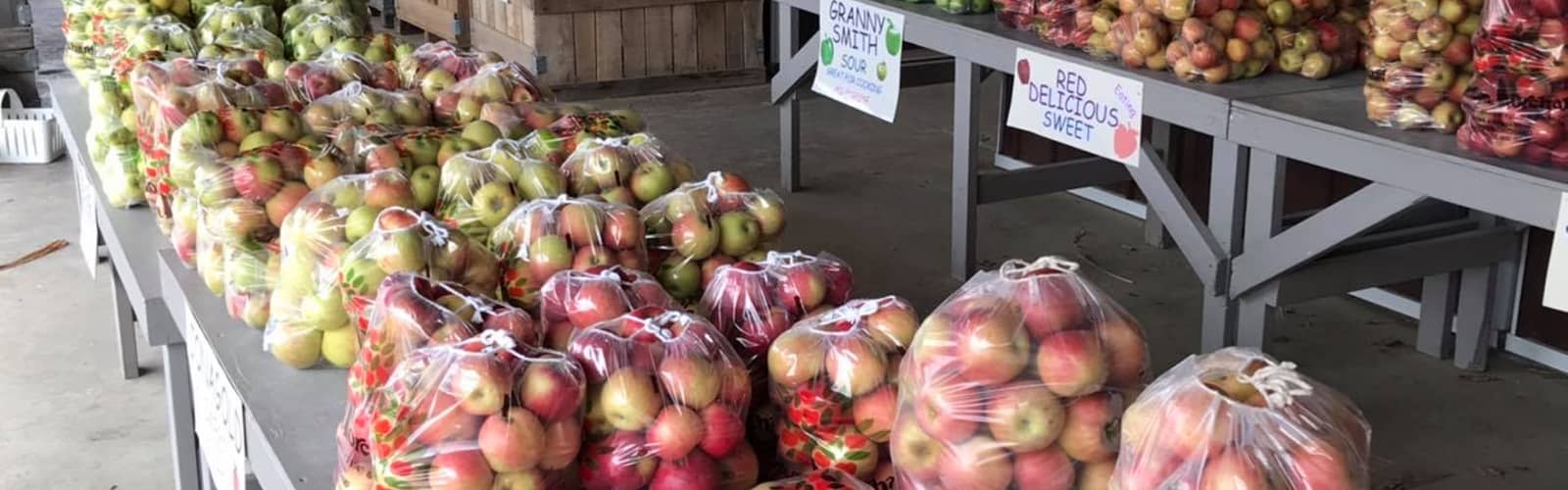 Apple Festival & Craft Show