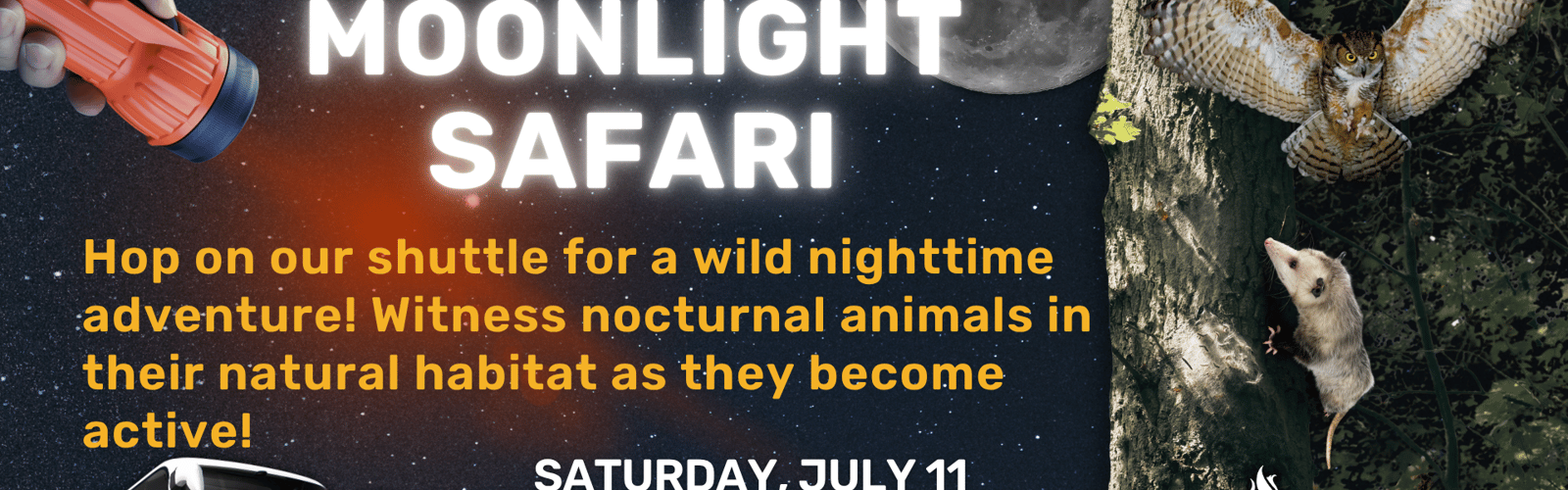 Moonlight Safari