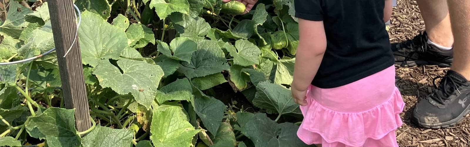 Children’s Garden Day