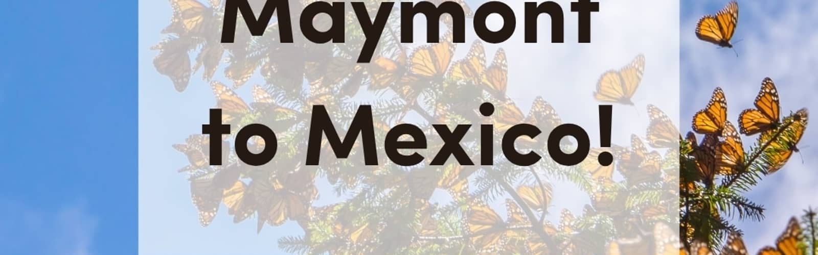 Travel with Maymont to Mexico