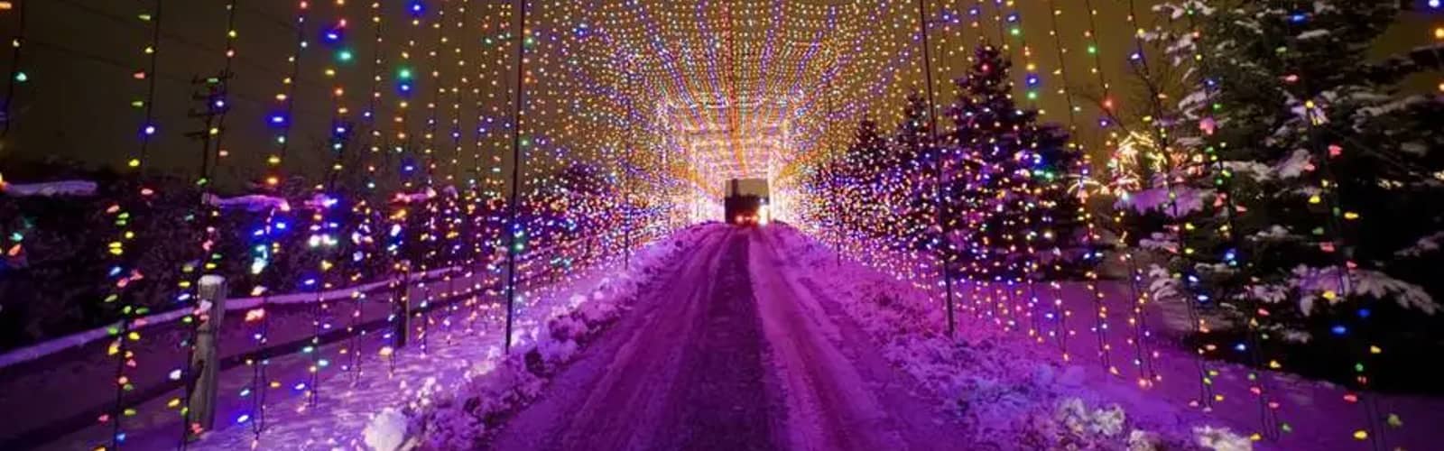 Illuminated Walk Through Country Christmas