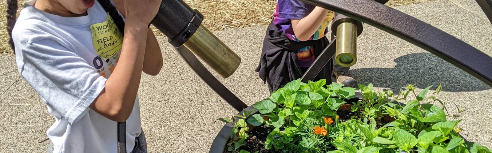 Discovery Time: Fun with Senses – Frick Environmental Center