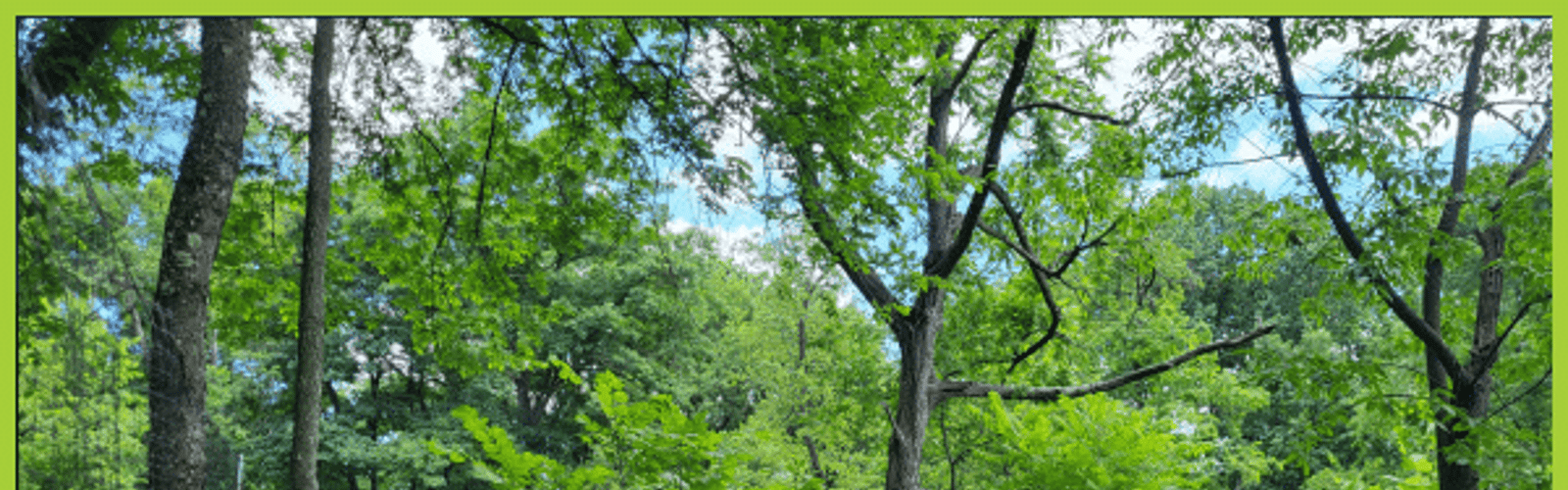 Evening Stewardship Days – Frick Park