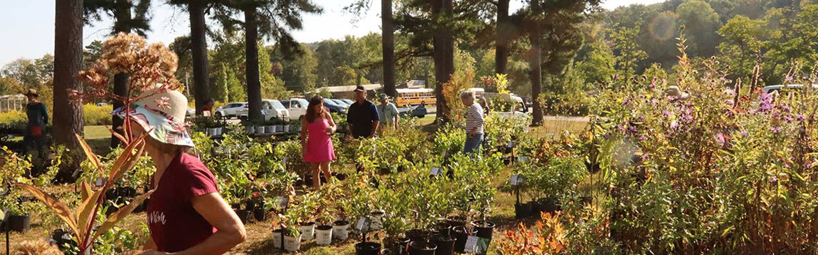 Fall Plant Sale