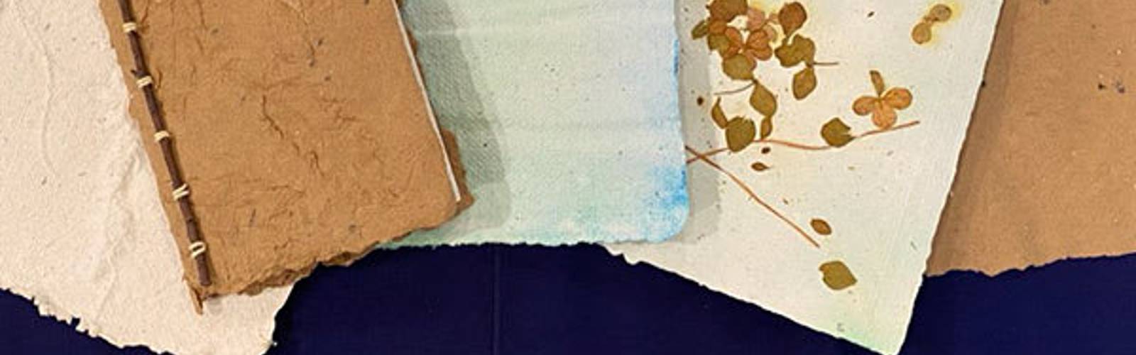 Nature (+)2: Bookmaking from Scratch
