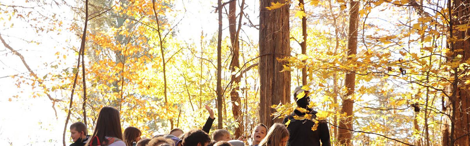 Forest Homeschool Hike