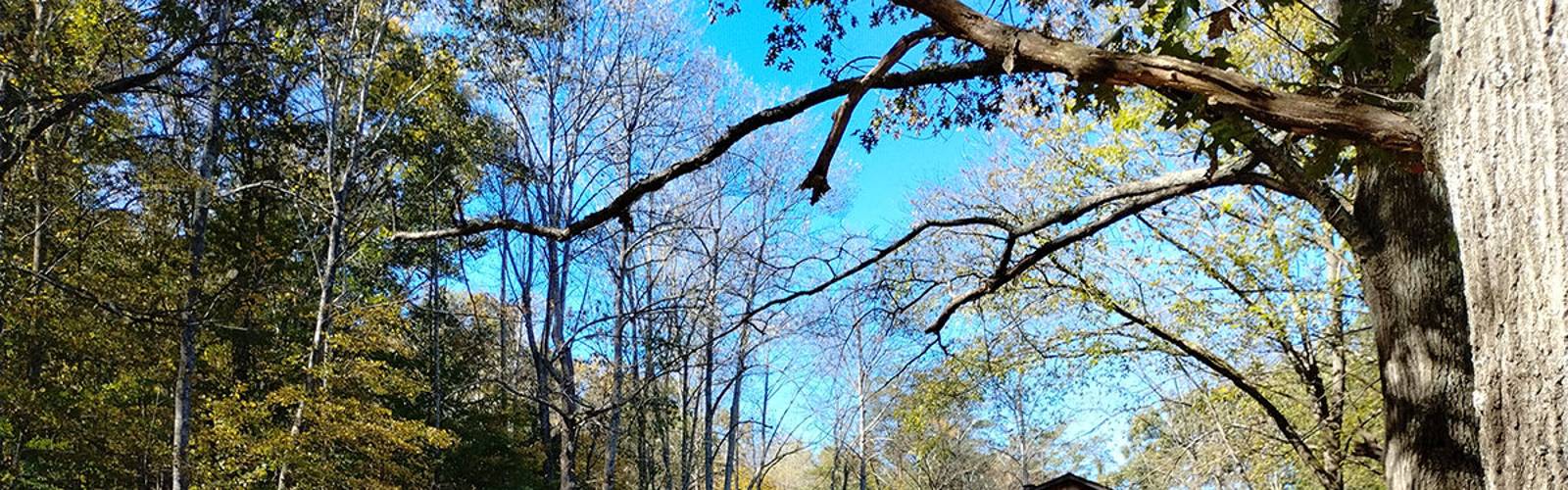 Hot Cocoa and a Fall Hike at the Bean House