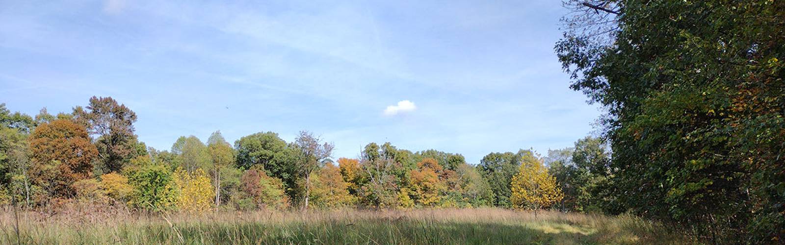 Rice Orchard Ridge Discovery Hike