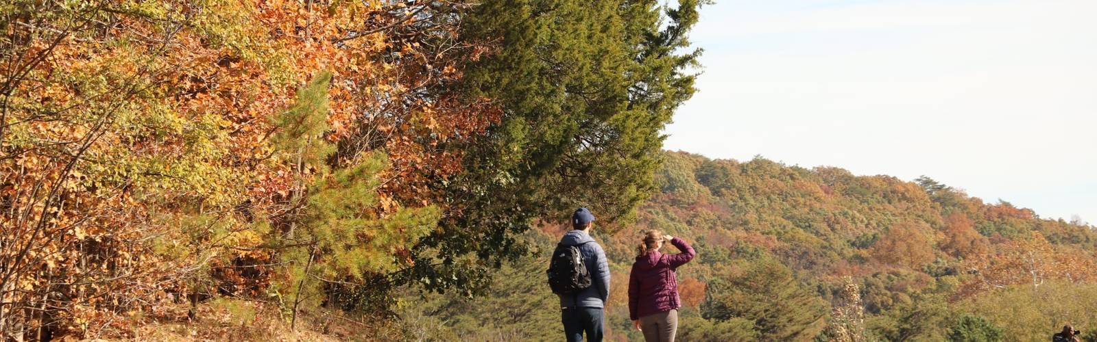 Third Sunday Nature Hike