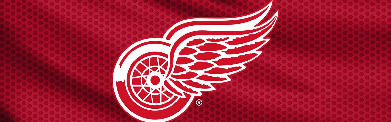 Detroit Red Wings vs. Columbus Blue Jackets