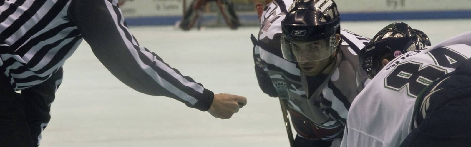 Kalamazoo Wings vs. Bloomington Bison