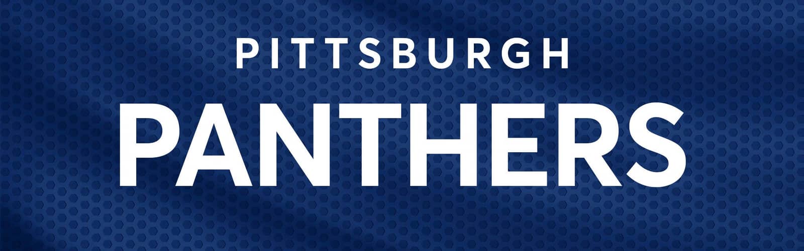 Pittsburgh Panthers Football vs. Florida State Seminoles Football