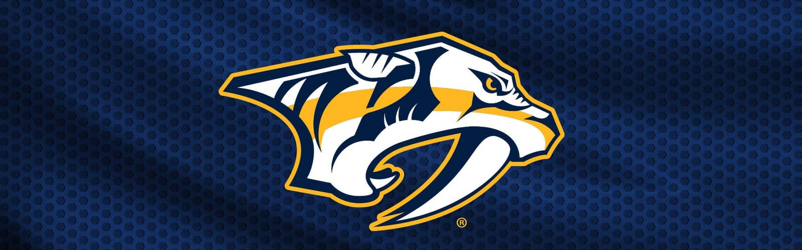 Nashville Predators 4th Annual Gold Star Showcase