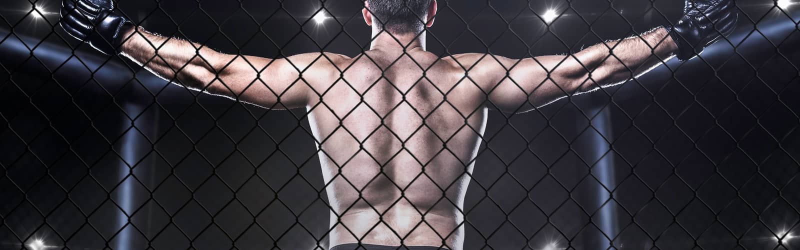 FAC MMA 36